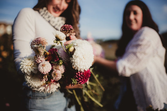 WELCOMING YOUR DAHLIA TUBERS