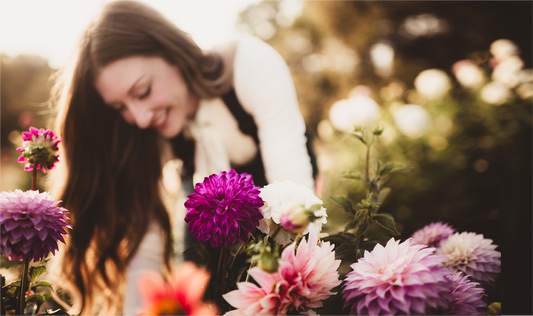 PLANTING YOUR DAHLIA TUBERS
