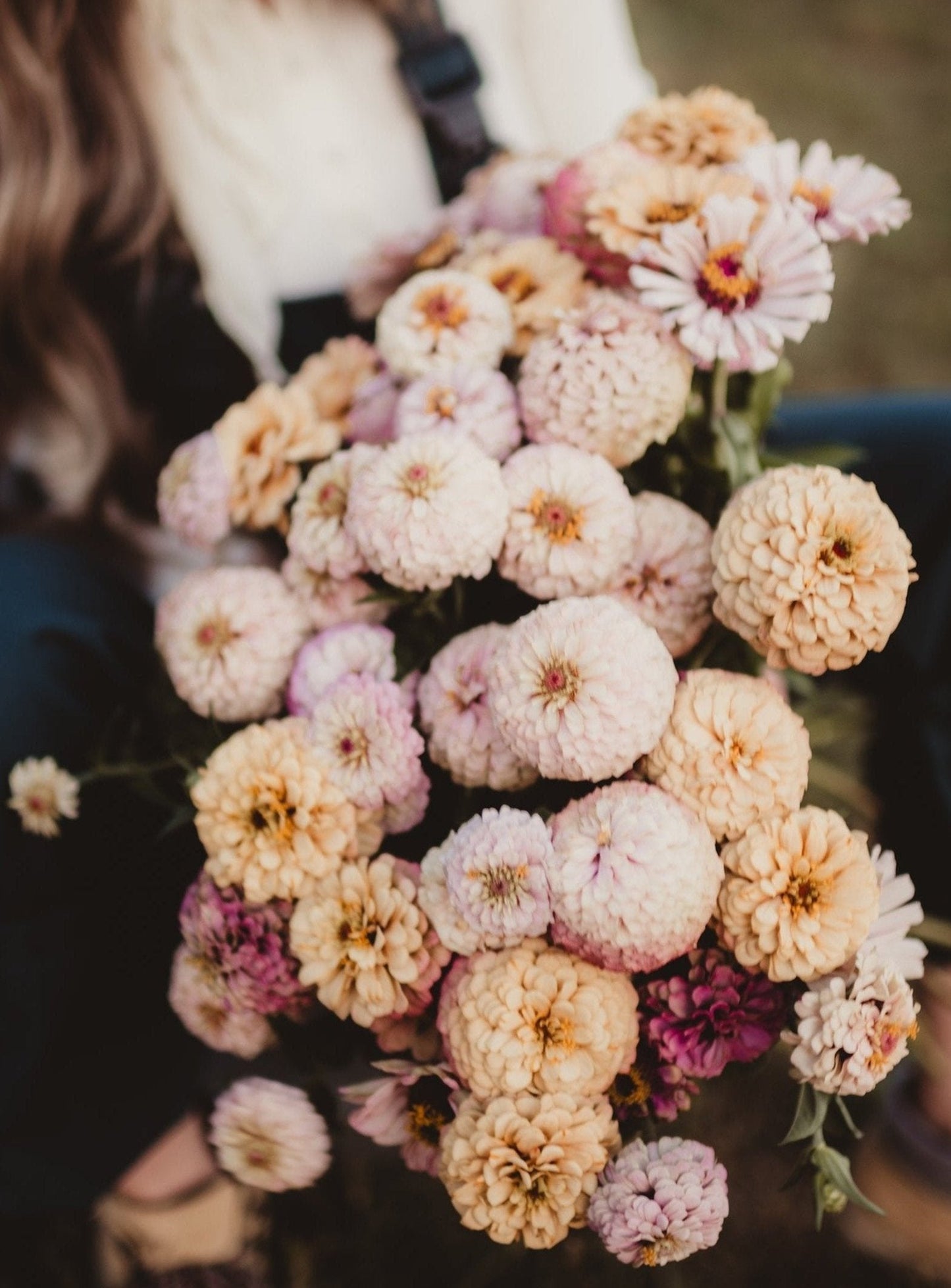 Zinnia Mix